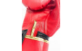 Боксерские перчатки Raja Snake red 14 oz