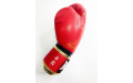 Боксерские перчатки Raja Snake red 10 oz