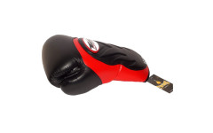 Боксерские перчатки Twins Special BGVL6 red black 10 oz