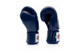 Боксерские перчатки BGV1 blue 16 oz