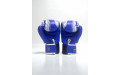 Боксерские перчатки TWINS Special FBGVL3-49 blue 14 oz