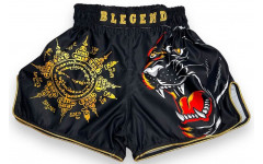 Шорты для бокса Blegend Magic Tiger L