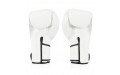 Боксерские перчатки BGV6 white 14 oz