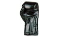 Боксерские перчатки BGV6 black 16 oz