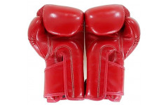 Боксерские перчатки BGV6 red 18 oz