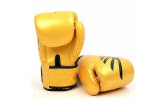 Боксерские перчатки Fairtex BGV1 Falcon 10 oz Боксерские перчатки Fairtex BGV1 Falcon 10 oz