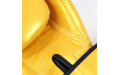 Боксерские перчатки Fairtex BGV1 Falcon 10 oz