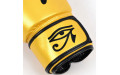 Боксерские перчатки Fairtex BGV1 Falcon 10 oz