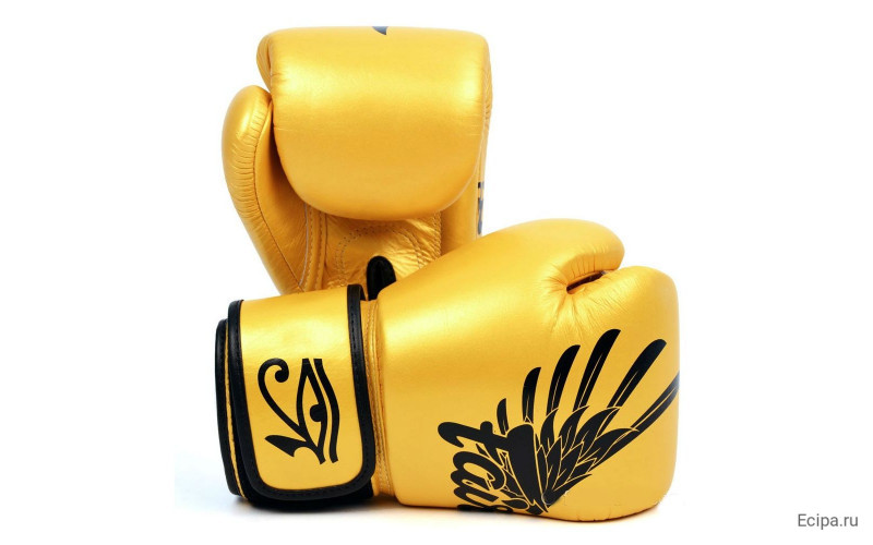 Боксерские перчатки Fairtex BGV1 Falcon 12 oz