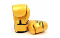 Боксерские перчатки Fairtex BGV1 Falcon 12 oz