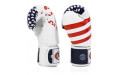 Боксерские перчатки Fairtex BGV1 USA 10 oz
