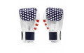 Боксерские перчатки Fairtex BGV1 USA 16 oz