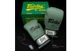 Боксерские перчатки Fairtex BGV11 F-DaY 12 oz