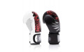 Боксерские премиальные перчатки Fairtex BGV24 16 oz