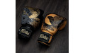 Боксерские премиальные перчатки Fairtex BGV26 Harmony Six 14 oz