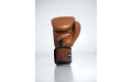 Боксерские перчатки Twins Special BGVL3 brown 16 oz