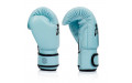 Боксерские перчатки Fairtex BGV20 light blue 10 oz