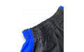 Шорты для бокса Blegend Powerhous black blue - XL
