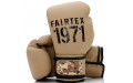 Боксерские перчатки Fairtex BGV25 F-DaY2 10 oz