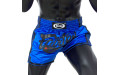 Шорты для бокса Fairtex BS1702 (синий) XL