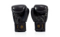 Боксерские перчатки Fairtex BGV19 black 14 oz
