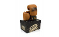 Боксерские перчатки Fairtex BGV21 LEGACY 16 oz