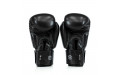 Боксерские перчатки Fairtex BGV27 black 10 oz