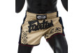 Шорты для бокса Fairtex BS1713 (бежевый) XL Шорты для бокса Fairtex BS1713 (бежевый) XL