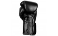 Боксерские перчатки Fairtex BGV5 black 16 oz