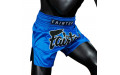 Шорты для бокса Fairtex BS1935 SAPPHIRE - 3XL