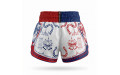 Шорты для Muay Thai Twins Special TBS Yant S