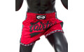 Шорты для бокса Fairtex BS1703 (красный-черный) 2XL