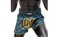 Шорты для бокса Fairtex BS1915 XL Шорты для бокса Fairtex BS1915 XL