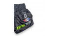 Шорты для бокса Fairtex BS1924 Racer black M