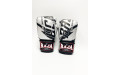 Боксерские перчатки Raja model 3 silver 12 oz