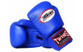 Боксерские перчатки Twins Special BGVL3 blue 20 oz