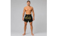 Шорты для бокса Fairtex BS1947 - XL