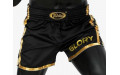 Шорты для бокса Fairtex BSG1 black gold M